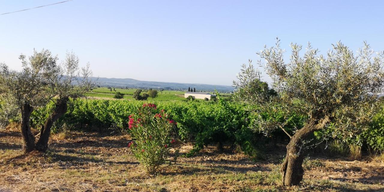 Le Mimosa Bed & Breakfast Saint-Saturnin-de-Lucian Exterior photo